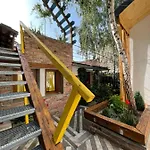Art Apartament Cluj-Napoca