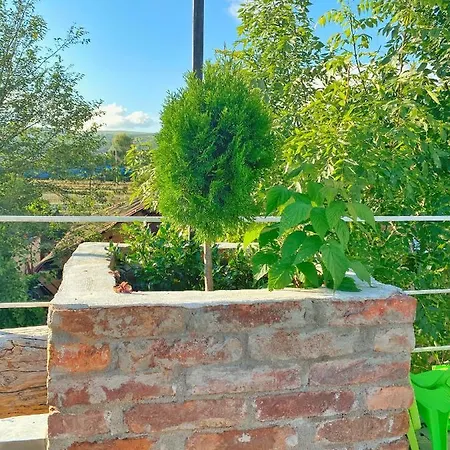 Art كلوج-نابوكا