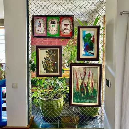 شقة Art كلوج-نابوكا