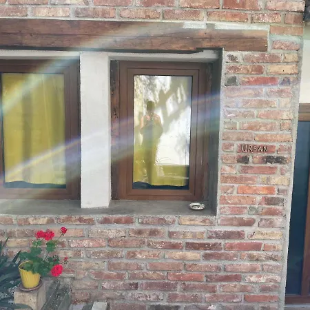 Art * كلوج-نابوكا