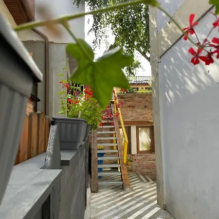 Art * كلوج-نابوكا