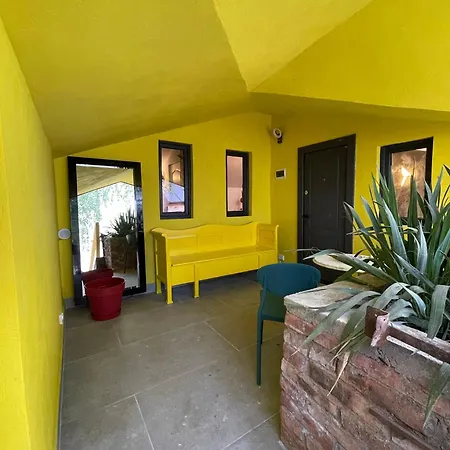 Art * Клуж-Напока