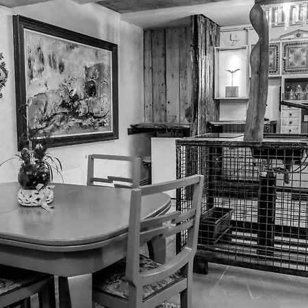 Art * كلوج-نابوكا